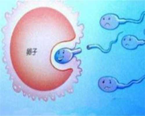 NT过了四维畸形率高吗