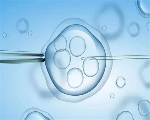 贵阳哪家代孕医院专业|呼和浩特供卵试管成功率徴,呼和浩特附属医院试管成功