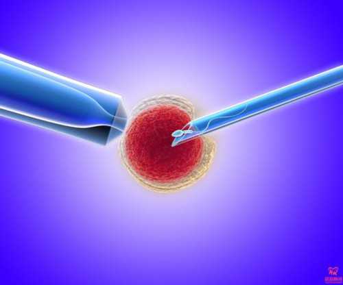 年纪大做三代试管能成功吗,试管失败的,助孕生男孩