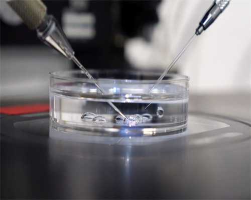 河北代生儿子,北京试管婴儿十大医院排名哪家北京医院最好？_孕妇梦到摘芒果