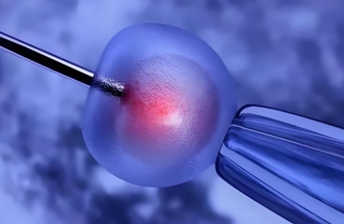 我的艰难备孕日记【18】