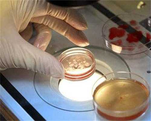 贵阳代孕中介有哪几个|苏州供卵三代试管助孕机构哪家包生男女？