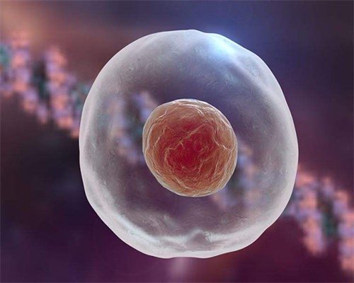 贵阳代孕合同如何维权|2026广西供卵试管医院排名名单？