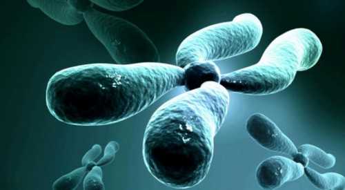 代生,金贝供卵医院在哪个地方（北京供卵不排队医院）_试管促排期间雌二醇一