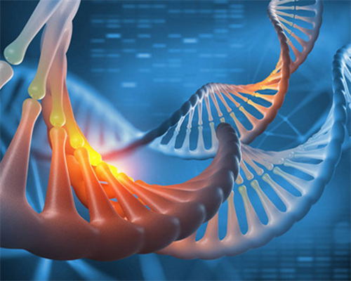 厦门代生代怀,44岁做试管婴儿成功率多少？一次成功几率大吗？-上海供卵试管