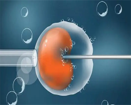 代生双胞胎抱儿子,贝依针打完后注意事项介绍，试管降调的姐妹们3点须牢记