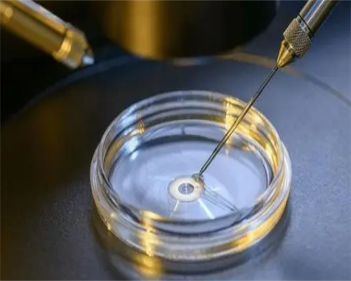 徐州试管代生包男孩,泰国试管婴儿做双胞胎、选择性别具体流程_丽水供卵试管