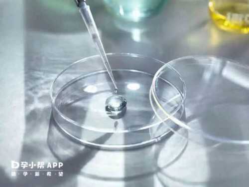 上海试管代生机构,天津人工助孕成功率_供卵中介哪家好_试管冬天移植成功率不