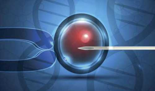 女性卵泡不破不排卵怎么办？,高龄试管代怀