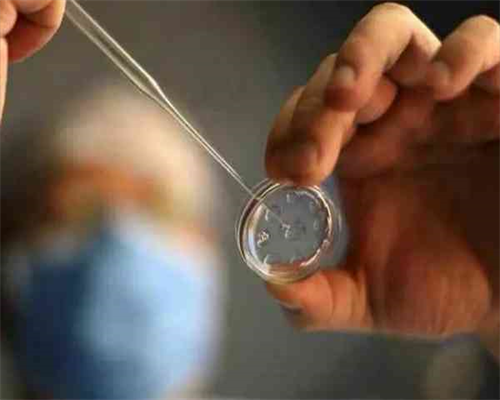 贵阳2026
年代孕价格查询|珠海供卵试管生子机构包生双胞胎费用大概是多少？