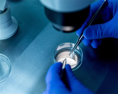 南京助孕代生,分析卵泡发育不良赴泰试管婴儿获取优质卵子的三大保障-深圳私