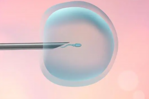 贵阳做供卵去哪里 贵阳四维彩超预约流程 ‘怀孕b超图形看男女’