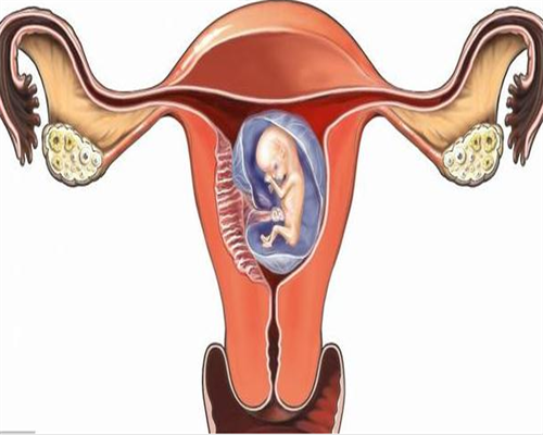 排卵试纸测到强阳后多久排卵,借卵试管费用