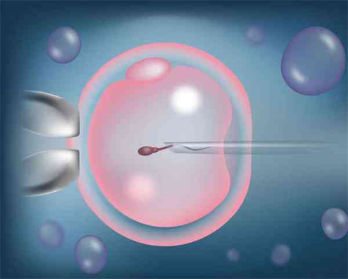 监测排卵和促排卵是什么意思-监测排卵和促排卵是什么意思,代怀供卵公司