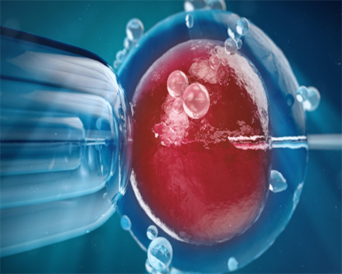 贵阳代孕双胞胎如何收费|[固原试管婴儿]关于美国试管婴儿的流程，都在这里。