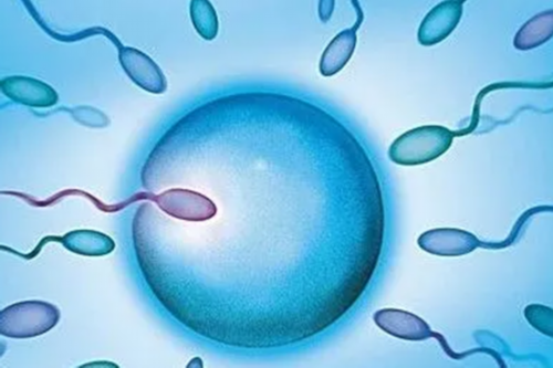 上海代生代怀,试管婴儿前期准备攻略_北京三代试管公司排行榜最新_人授转试管