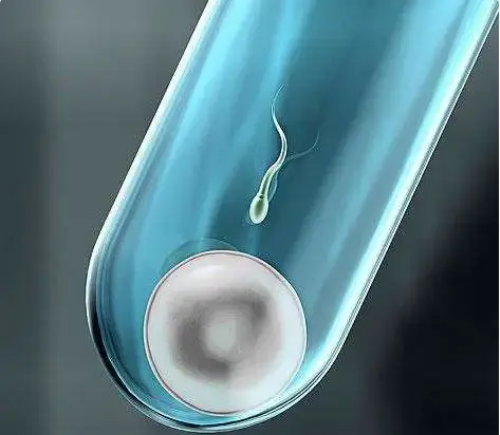 贵阳去添禧代孕多少钱|成都做试管婴儿(成都试管婴儿权威)