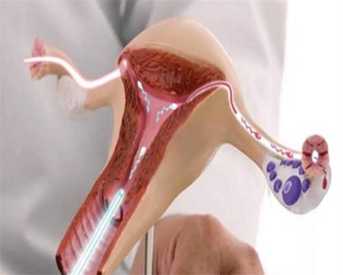 厦门代生代怀,银川同性在哪里可以做试管婴儿,怎么找助孕公司-上海供卵试管医