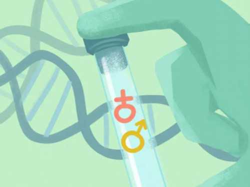 找人代生孩子触发吗,高龄女性去泰国做试管婴儿如何正确选择助孕方案?_单角子