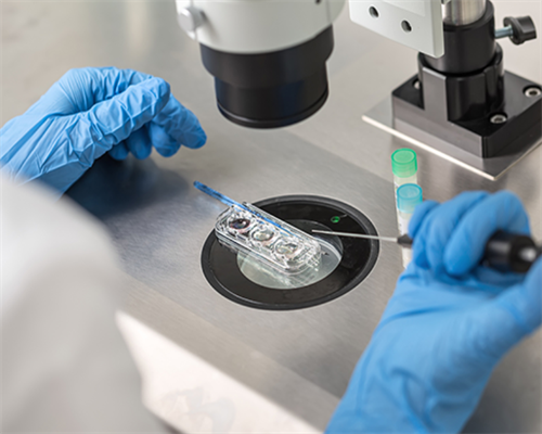 生化后是否会增加怀孕的可能性？妊娠生化后需要多久才能再次怀孕？,正规捐卵机构