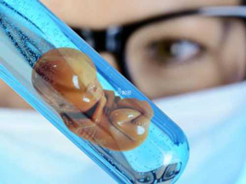 贵阳试管代孕正规医院|2026年石​​家庄市妇产医院公布供卵试管排队时间，附