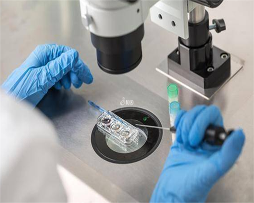 有代生孩子的妈,新疆佳音试管成功率高吗？贵不贵呢？_试管移植后跟宝宝说话