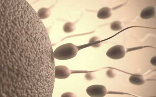 贵阳有信誉包成功代孕,贵阳试管婴儿排行榜