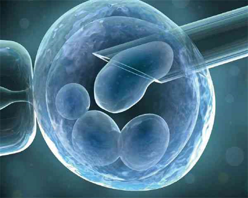 试管移植后菠菜可以吃吗移植后能吃菠菜吗,供卵代生公司