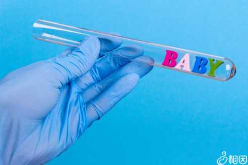 徐州试管代生包男孩,试管囊胚等级怎么评判？_2026年末次月经3月7号生男生女