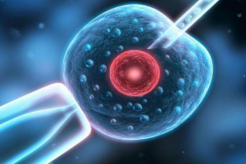 贵阳代孕服务哪家好|2026
年兰州供卵试管费用大约是多少？兰州试管最新报销政