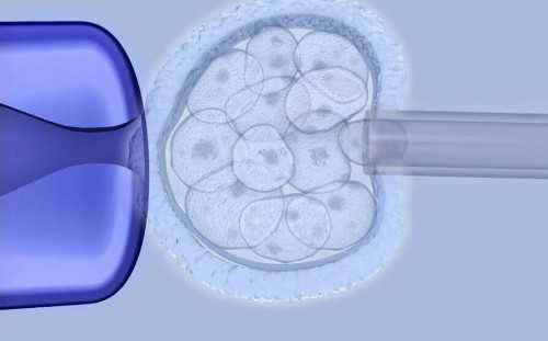 贵阳代怀中介官方网站|【广西三代供卵试管医院名单】如何申请广西试管补贴