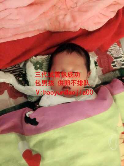 郑州全国供卵中心_郑州哪里可以供卵生孩子_怀孕期间如何缓解头痛和恶心